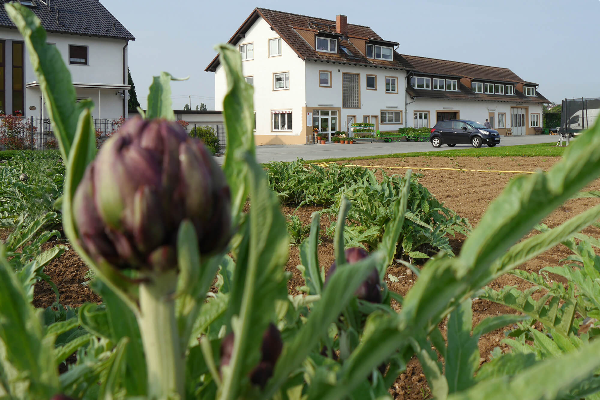 Parkmöglichekiten vor dem Ladengeschäft